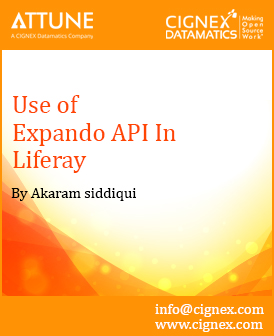 31 - Use Expando API in Liferay.jpg 31 - Use Expando API in Liferay.jpg